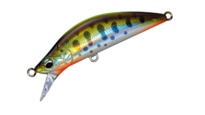 MINNOW
