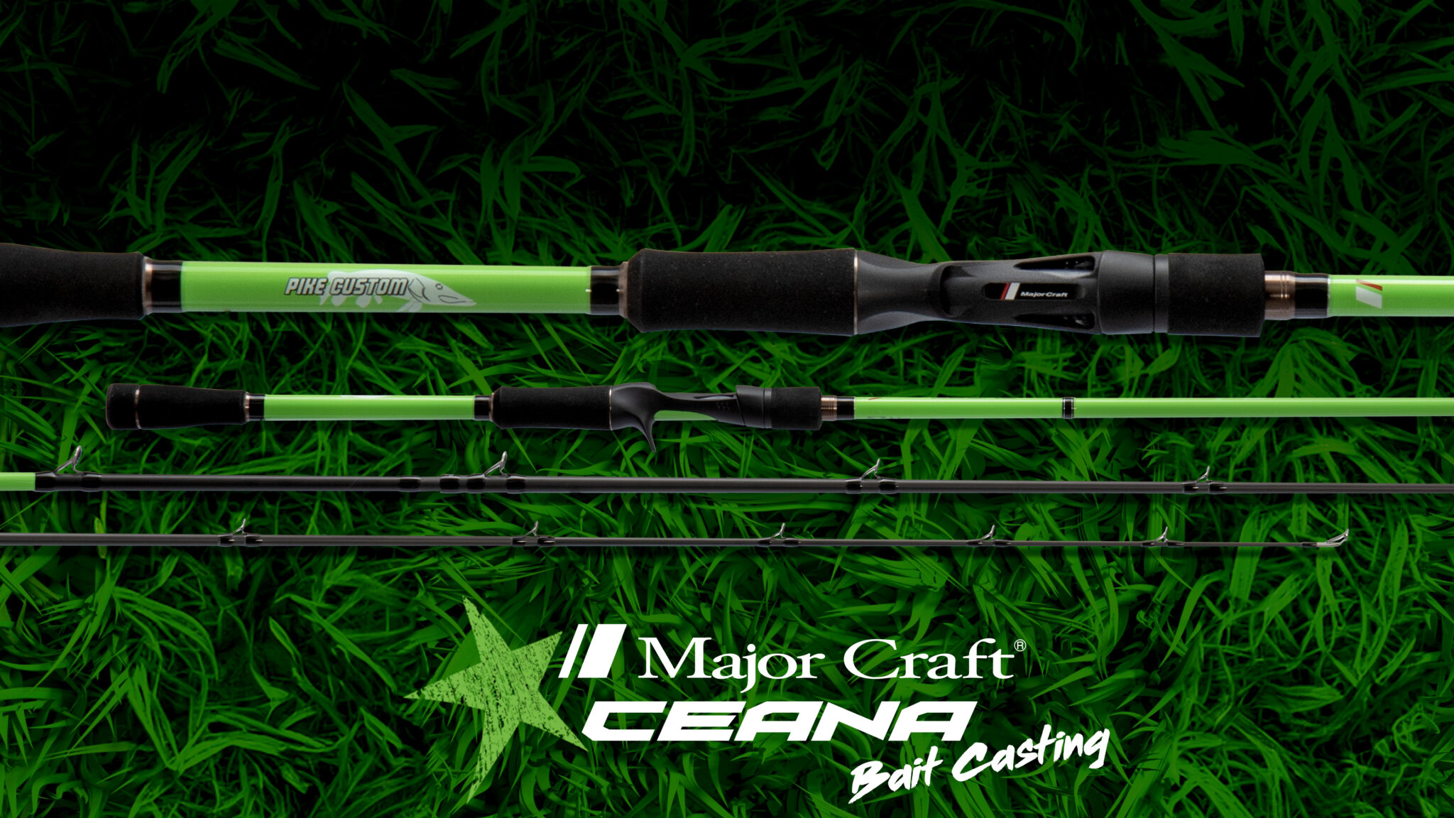 Ceana CEANA & CEANA PIKE CUSTOM GREEN VERSION - Major Craft Europe